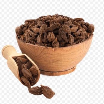 Badi Ilaychi (Black Cardamom)
