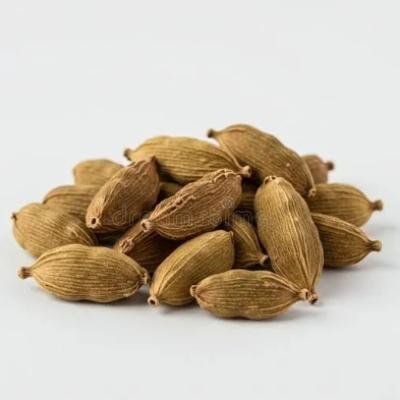 Chhoti Ilaychi (Green Cardamom)