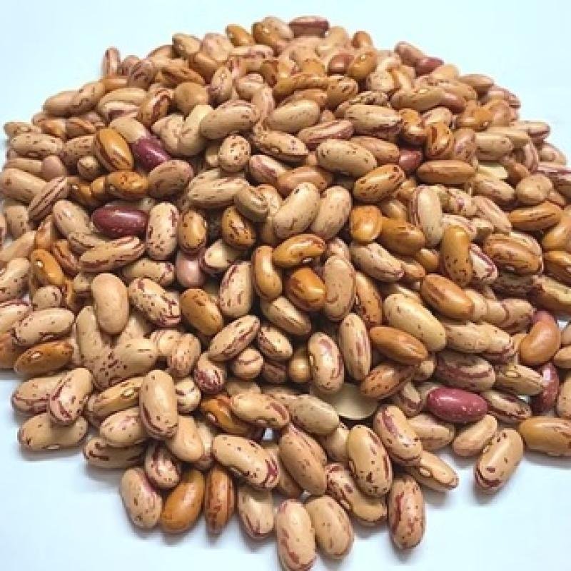 Premium Chitra Rajma