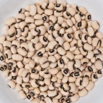 Premium White Lobia (Black Eyed Peas)